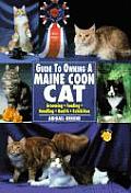 Guide To Owning A Maine Coon Cat