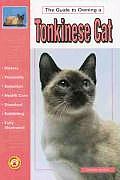 Guide To Owning A Tonkinese Cat