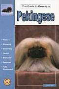 The Guide to Owning a Pekingese