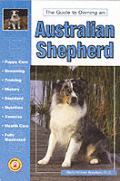 Guide To Owning An Australian Shepherd