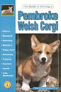 Guide To Owning A Pembroke Welsh Corgi