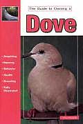 Guide To Owning A Dove
