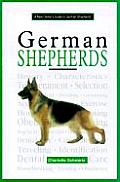 New Owners Guide To German Shepherds
