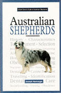 New Owners Guide To Australian Shepherds