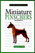 New Owners Guide To Miniature Pinschers