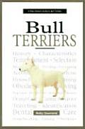 New Owners Guide To Bull Terriers