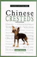 New Owners Guide To Chinese Cresteds
