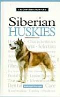 New Owners Guide To Siberian Huskies