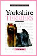 New Owners Guide To Yorkshire Terriers