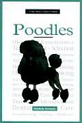 New Owners Guide To Poodles