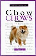 New Owners Guide To Chow Chows