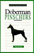 New Owners Guide To Doberman Pinschers