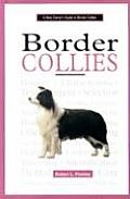 New Owners Guide To Border Collies