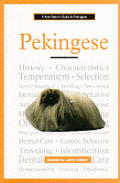 New Owners Guide To Pekingese