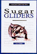 New Owners Guide To Sugar Gliders