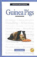 New Owners Guide To Guinea Pigs