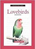 New Owners Guide To Lovebirds