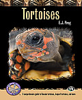 Tortoises A comprehensive guide to Russian tortoises Leopard tortoises & more