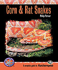 Corn & Rat Snakes A Complete Guide to Pantherophis