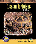 Russian Tortoises A Complete Guide to Testudo