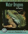 Water Dragons A Complete Guide to Physignathus & More