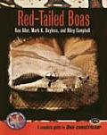 Red Tailed Boas A Complete Guide to Boa Constrictor