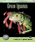Green Iguanas A Complete Guide to Iguana Iguana