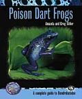 Poison Dart Frogs A Complete Guide to Dendrobatidae