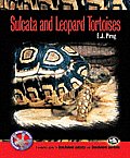 Sulcata & Leopard Tortoises
