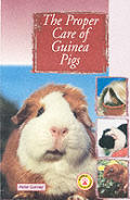 Proper Care Of Guinea Pigs