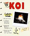 Super Simple Guide To Koi
