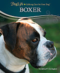 Boxer DogLife Series