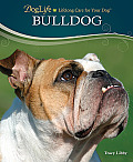DogLife: Lifelong Care for Your DogT||||Bulldog