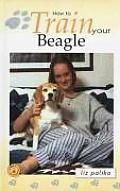 How To Train Your Beagle