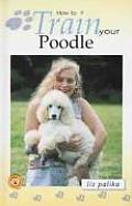 How To Train Your Poodle