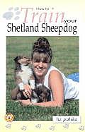 How To Train Your Shetland Sheepdog