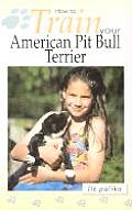 How to Train Your American Pit Bull Terrier
