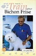 How To Train Your Bichon Frise