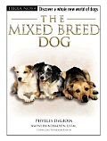 Mixed Breed Dog
