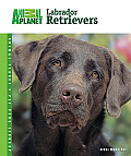 Labrador Retrievers Animal Planet Pet Ca