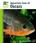 Aquarium Care Of Oscars Animal Planet
