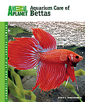 Aquarium Care Of Bettas Animal Planet