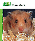 Hamsters Animal Planet
