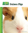 Guinea Pigs Animal Planet Pet Care Libra