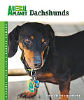 Animal Planet® Pet Care Library||||Dachshunds