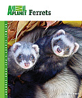 Animal Planet® Pet Care Library||||Ferrets