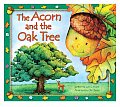 Acorn & The Oak Tree