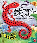 Salamander Rock A Pop Up Counting Book