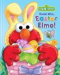 Sesame Street Guess Who Easter Elmo