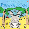 Bunny On The Beach